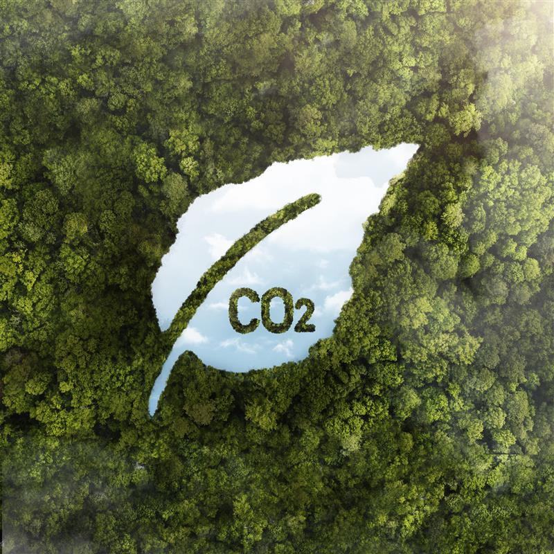 January 28th, World CO₂ Reduction Day